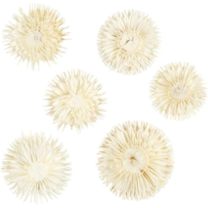 Dried Flower Heads Teasel Dipsacus 3-5cm 6-Pack Bleached Wreaths Decorations