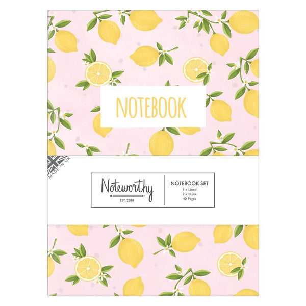 Notebook Set | Fruity | A5 Pack of 3 | Docrafts Papermania | Notepad Set